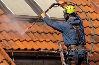 Démoussage et hydrofuge de toiture à Riolas